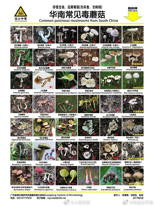 为什么借呗突然没有了？