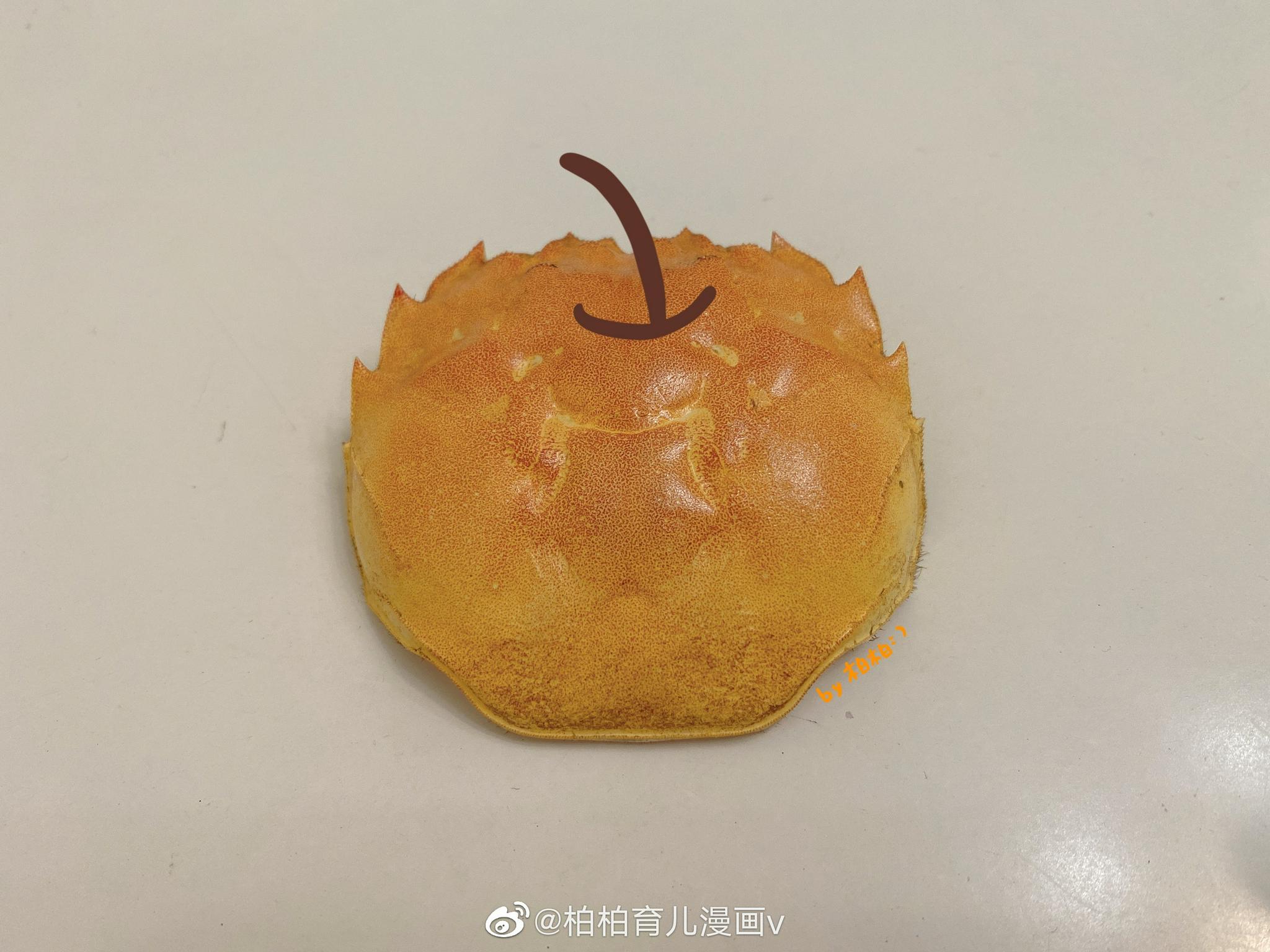 可可爱爱的蟹壳简笔画_高清图集_新浪网