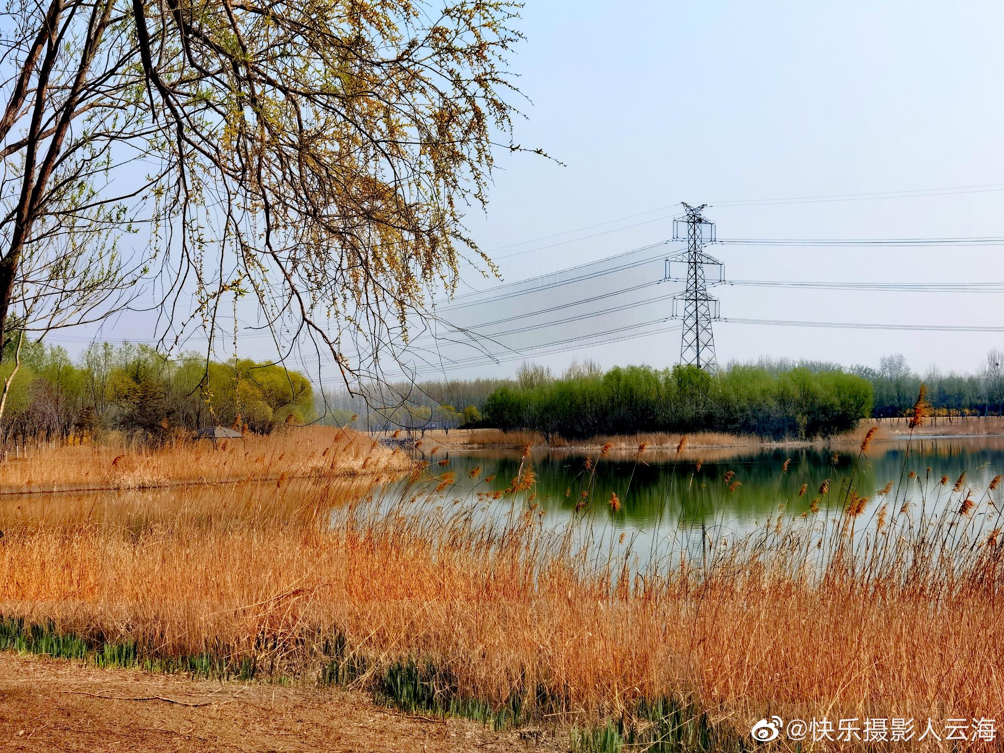 北辰绿洲湿地公园__财经头条