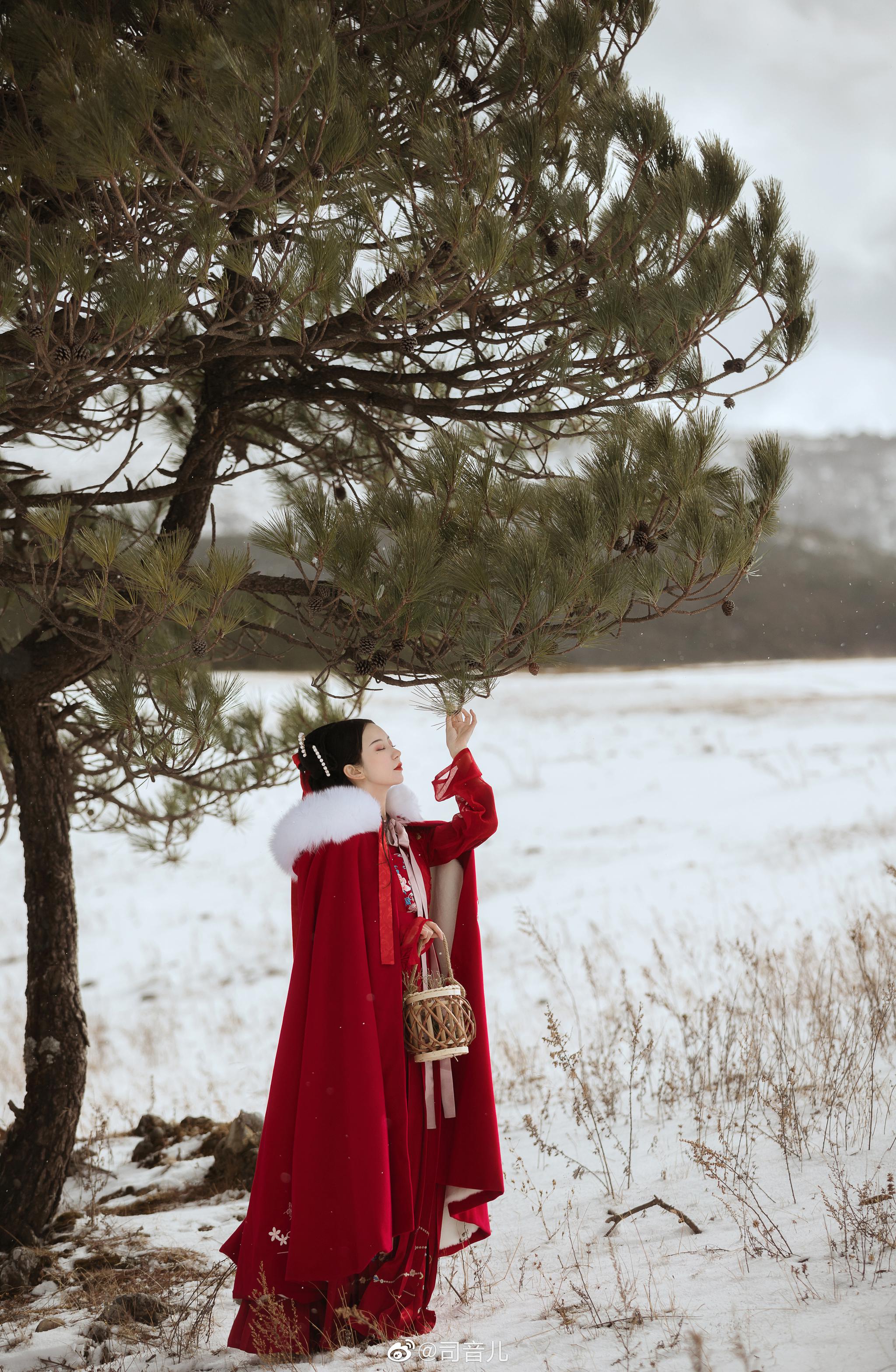 红衣落尽暗香残叶上秋光白露寒