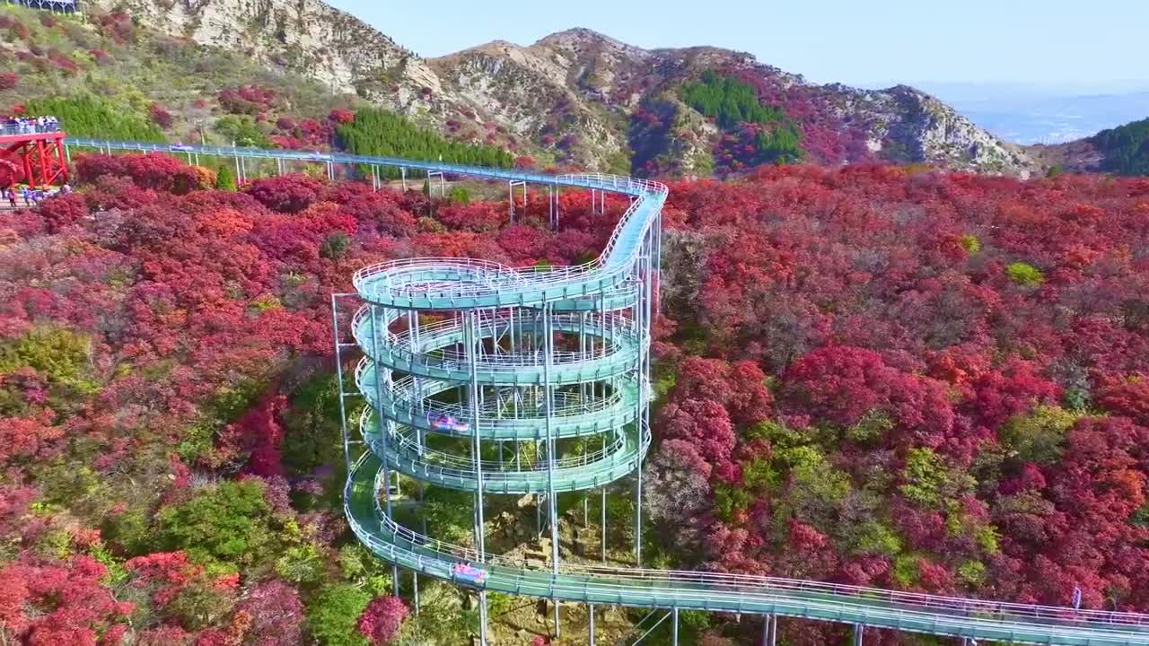 告别夜之璀璨红叶柿岩浪漫漂流红叶季10月14日盛大开幕