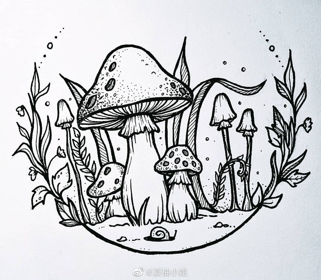 简单好看的线描装饰画练笔必备sicilia