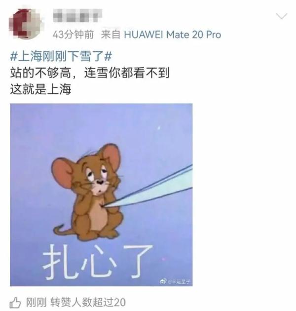 上海下雪了！然而网友说……休闲区蓝鸢梦想 - Www.slyday.coM