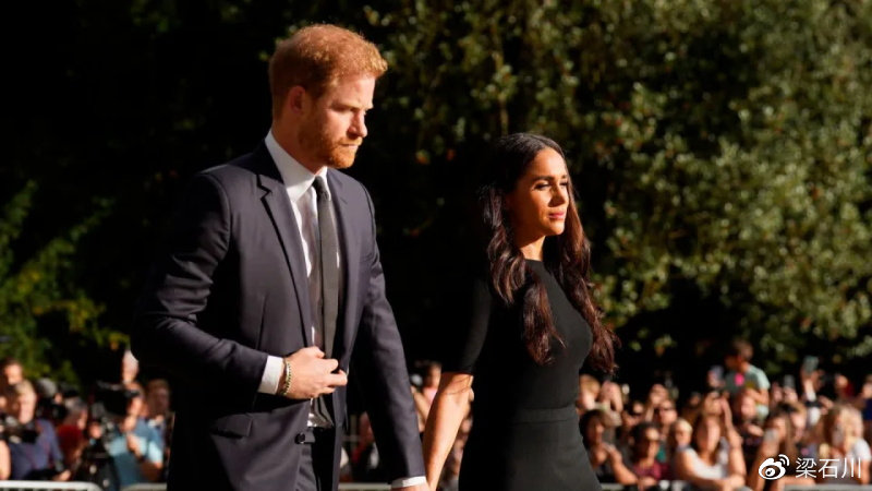 王室作家排队出书，承诺揭示哈里梅根和王室之间冲突的真相背后休闲区蓝鸢梦想 - Www.slyday.coM