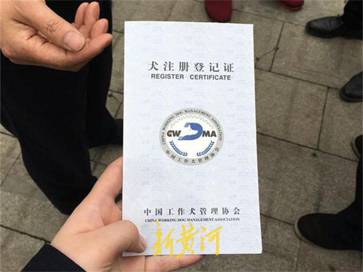 安阳“狗咬人”事件中工作犬证引关注,代办工作犬证背后藏黑产休闲区蓝鸢梦想 - Www.slyday.coM 安阳“狗咬人”事件中工作犬证引关注,代办工作犬证背后藏黑产休闲区蓝鸢梦想 - Www.slyday.coM