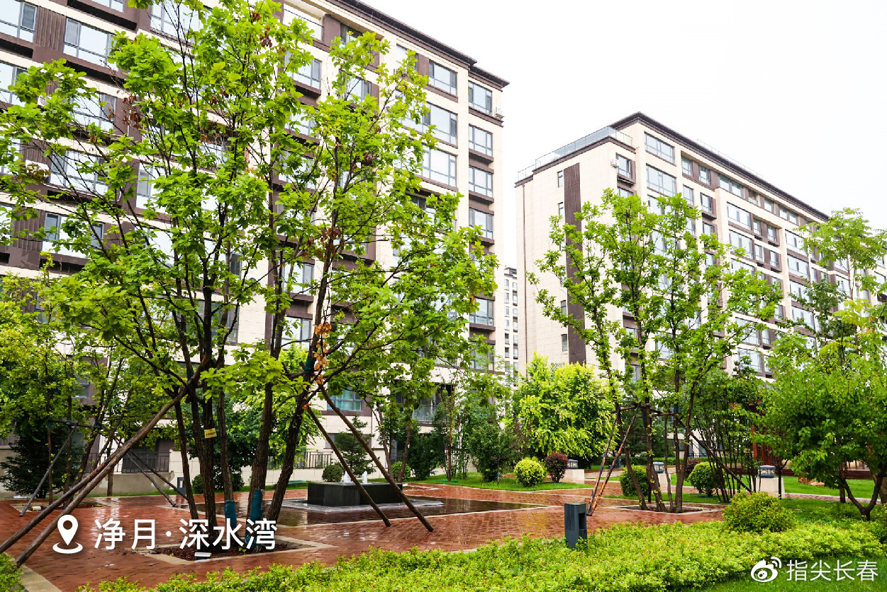 2021大众置业媒体行亲赴10盘丨完美收官|深水湾|净月|长春_新浪新闻