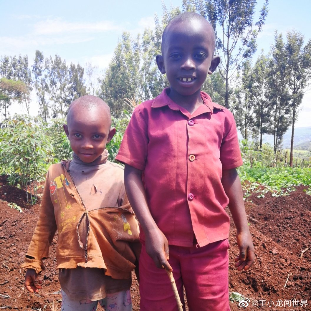 非洲卢旺达土地很肥沃