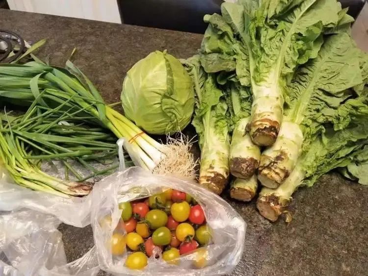 疫情下上海人的互助太暖了！街道自建编外“120”、小夫妻免费给邻居送菜…挑战当前，团结就是力量休闲区蓝鸢梦想 - Www.slyday.coM