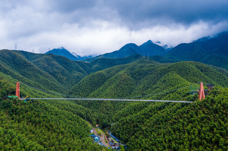 游卧虎藏龙取景地,安吉中国大竹海!__财经头条