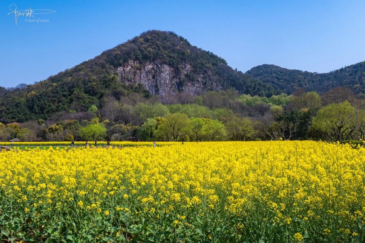 杭州八卦田景区,是个春天踏青的好地方