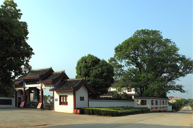 沿着"风光"之路看湖北⑨:绿色能源为革命老区发展添动力|能源|桃花山