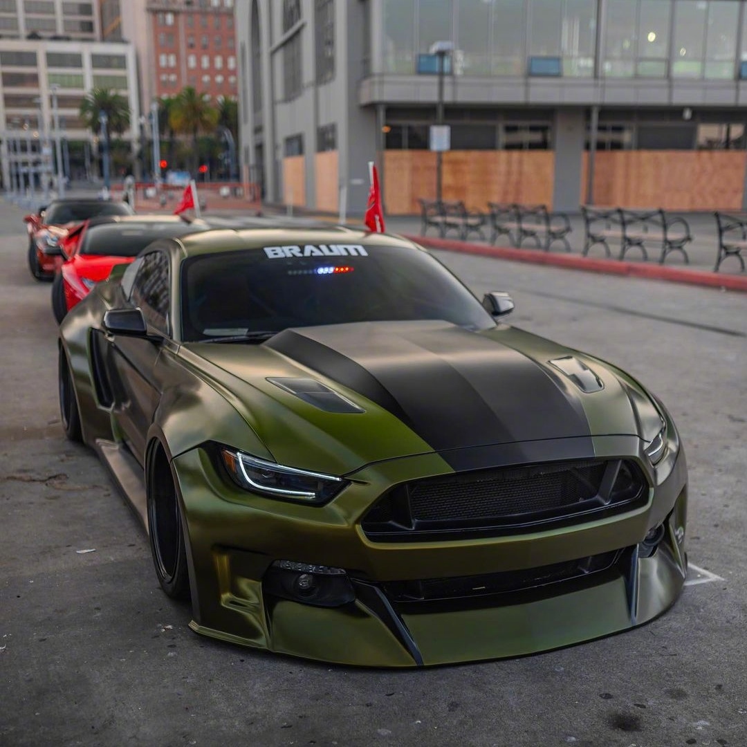 一匹漂亮的宽体野马