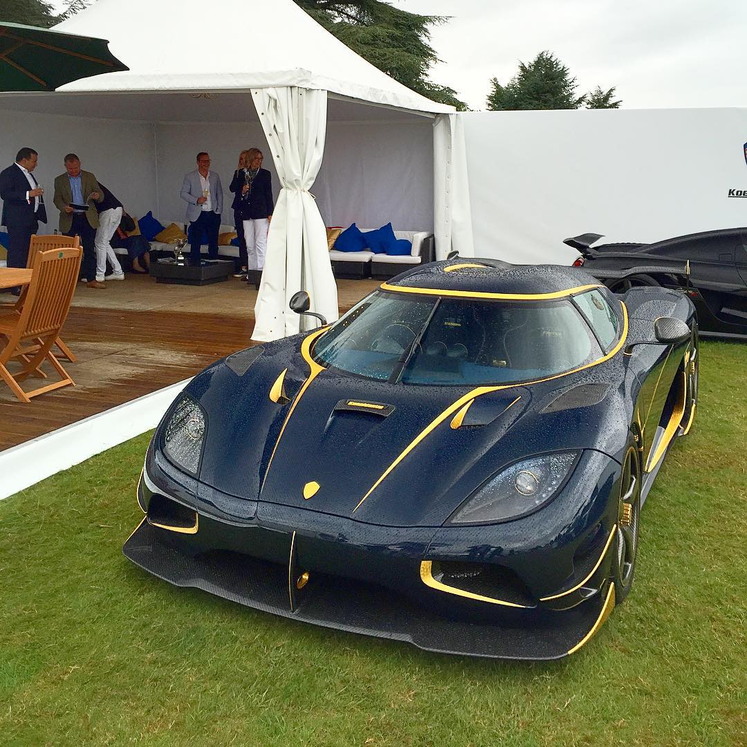 科尼塞克agerarsnarayawithgoldleaf