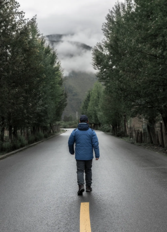 快来看看11月随手拍榜单暖和暖和吧~|背影|血液病