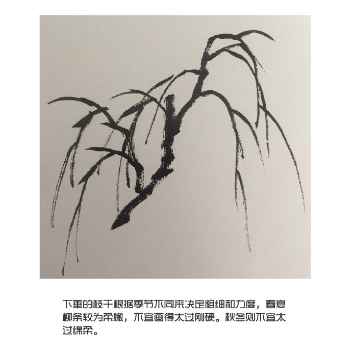 国画入门教程·《柳树的画法》