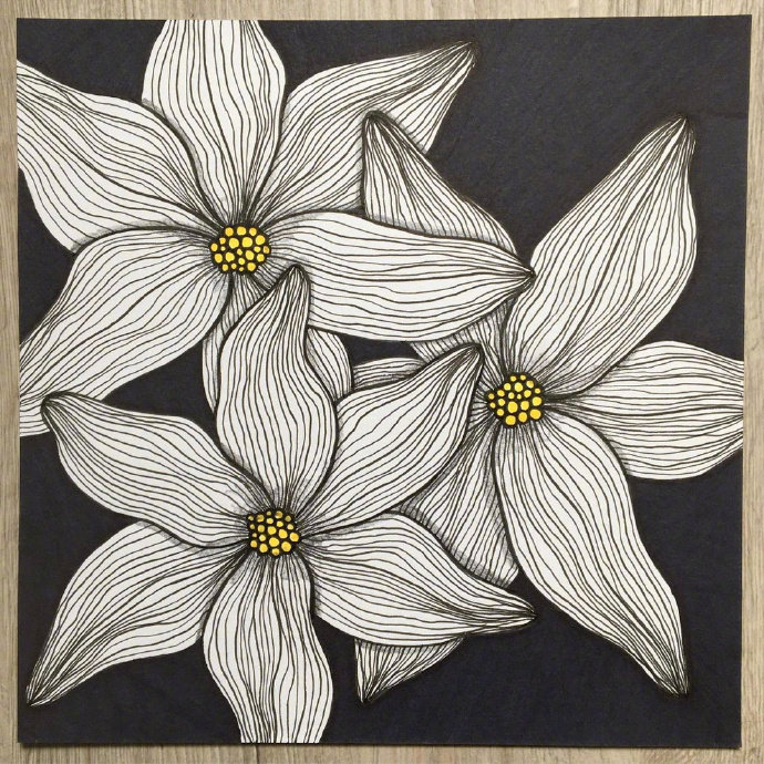 好看的线描装饰画,感受一下线条绘画设计的美感__财经头条