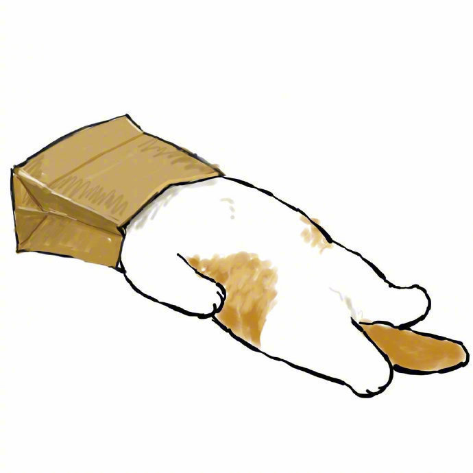 猫猫躺平 | mofu_sand