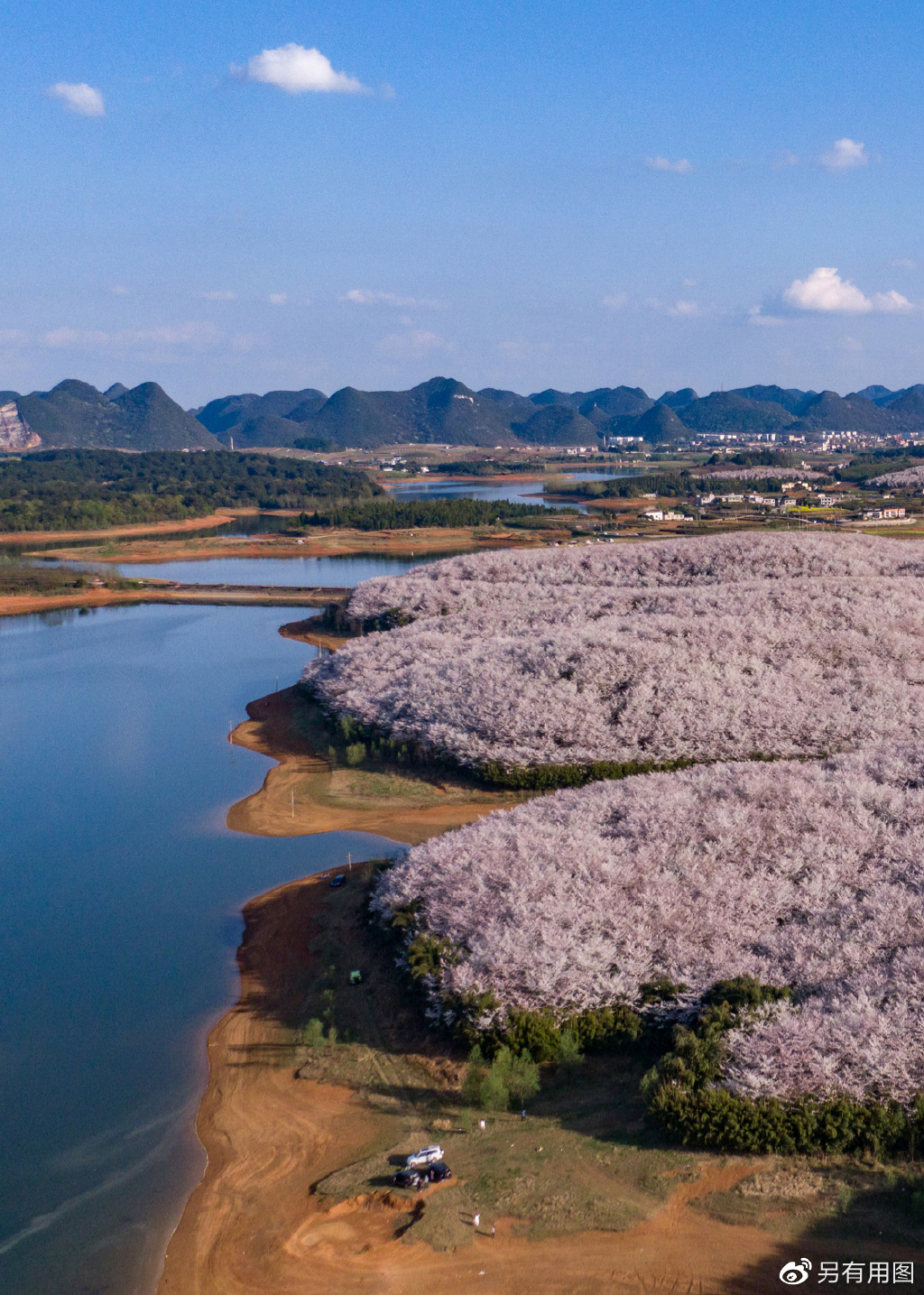 平坝樱花农场樟园宾馆图片