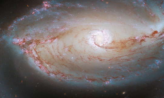 恒星如何形成斑节虾星云,这之中有什么让人惊叹的画面?休闲区蓝鸢梦想 - Www.slyday.coM 恒星如何形成斑节虾星云,这之中有什么让人惊叹的画面?休闲区蓝鸢梦想 - Www.slyday.coM