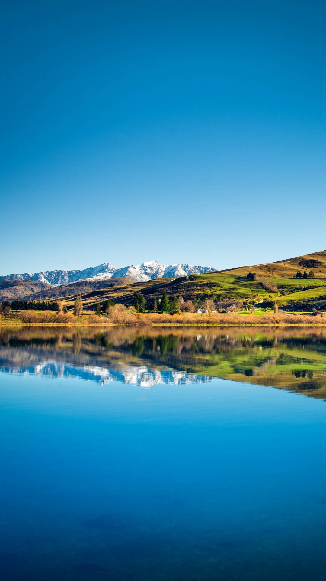 1080_1920竖版 竖屏