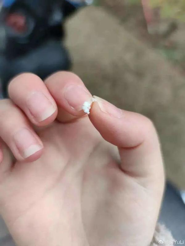 上海下雪啦！你看到没？气温仍在下降中，后天最低休闲区蓝鸢梦想 - Www.slyday.coM