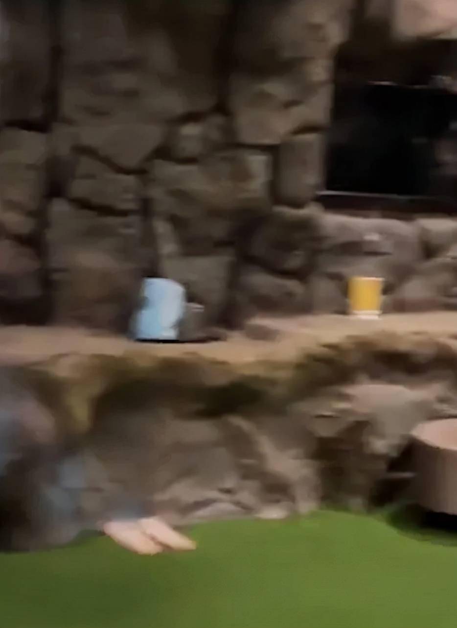 场景过于逼真！天津一男子隔离被安排到“花果山”！网友：这得隔离500年休闲区蓝鸢梦想 - Www.slyday.coM