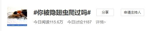 这种虫子爱在夏季“攻击”你,千万别直接拍死休闲区蓝鸢梦想 - Www.slyday.coM 这种虫子爱在夏季“攻击”你,千万别直接拍死休闲区蓝鸢梦想 - Www.slyday.coM