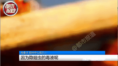 行走的硫酸！遇到这种虫子您可千万别用手拍…休闲区蓝鸢梦想 - Www.slyday.coM