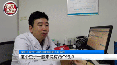 行走的硫酸！遇到这种虫子您可千万别用手拍…休闲区蓝鸢梦想 - Www.slyday.coM