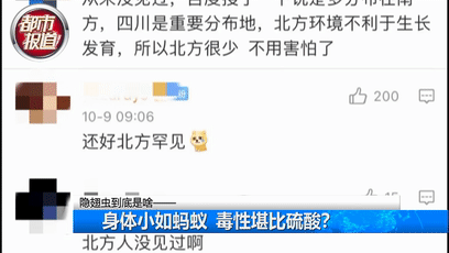 行走的硫酸！遇到这种虫子您可千万别用手拍…休闲区蓝鸢梦想 - Www.slyday.coM