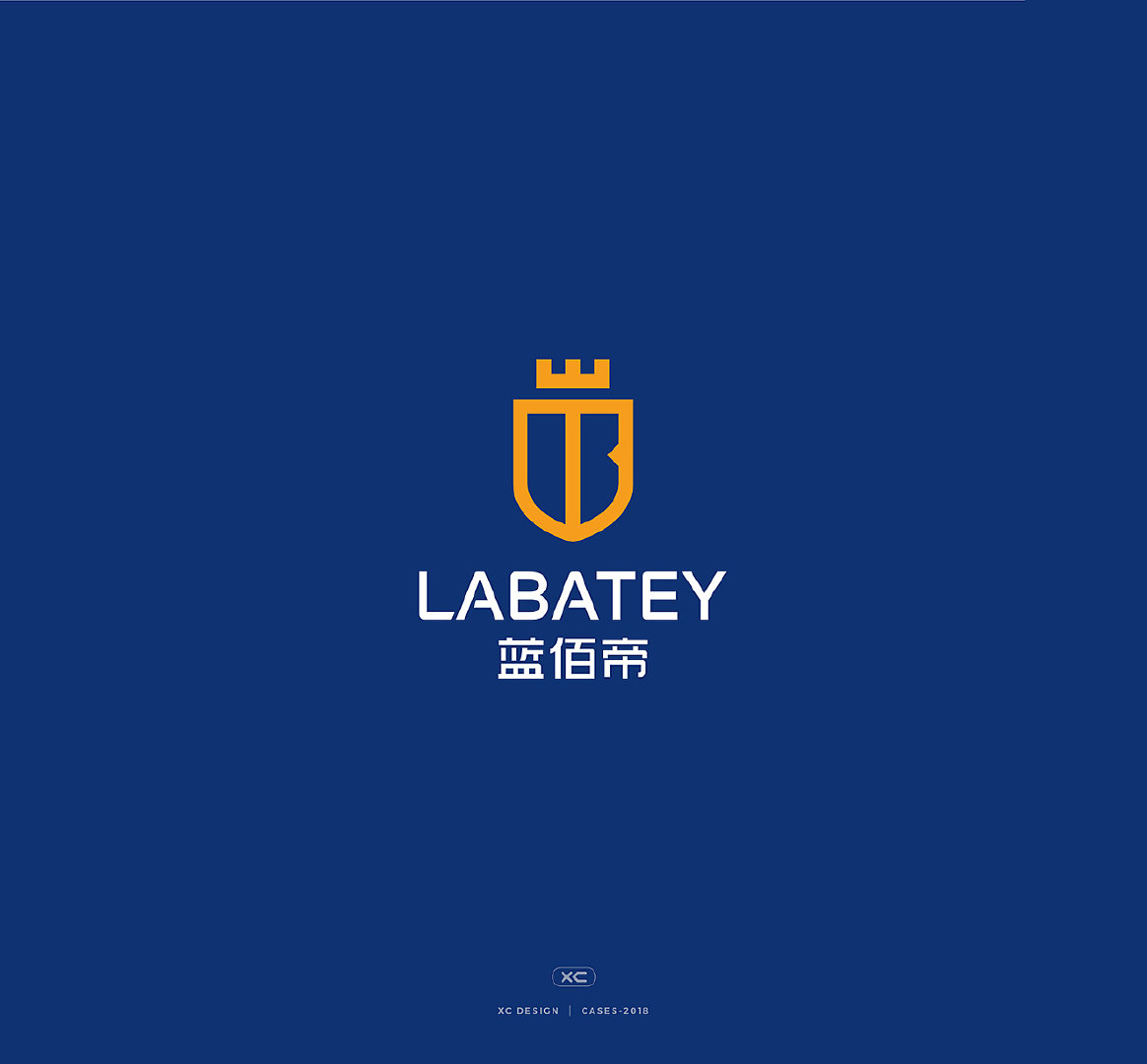 蓝佰帝品牌logo设计及vi设计：徐适