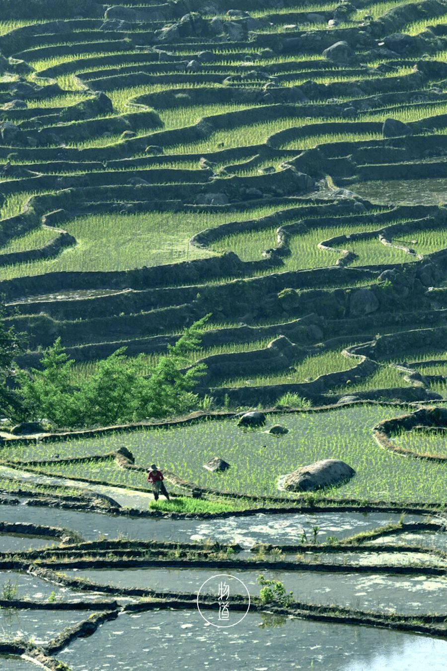 明日惊蛰人间惊鸿便有春天