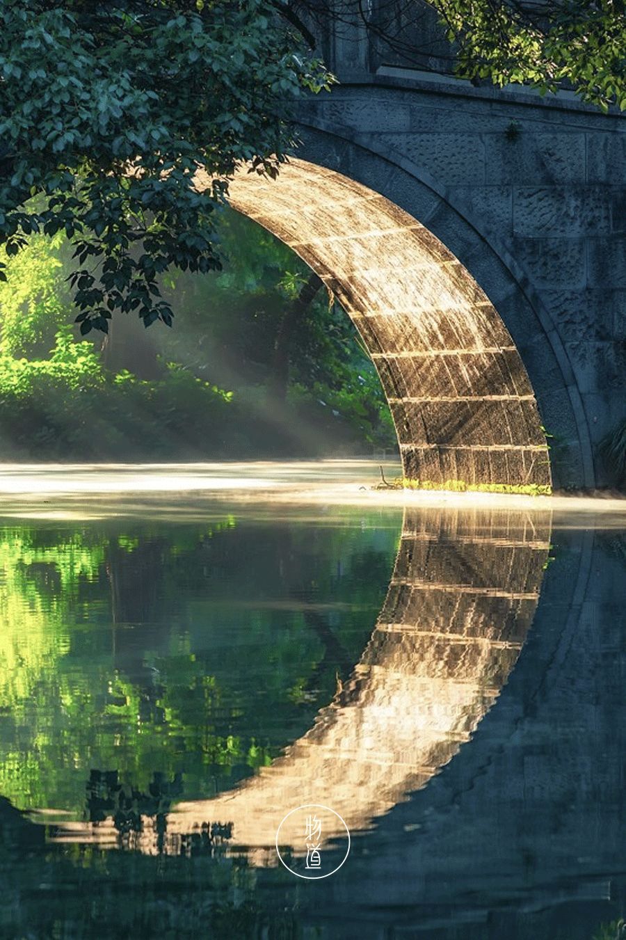 明日惊蛰人间惊鸿便有春天