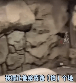 场景过于逼真！天津一男子隔离被安排到“花果山”！网友：这得隔离500年休闲区蓝鸢梦想 - Www.slyday.coM