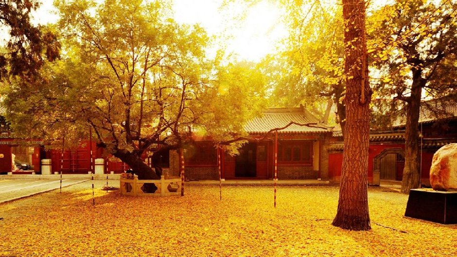 定州古城的景点有哪些?定州古城核心景点一览!|定州市|定州贡院|河北省|保定市|贡院_新浪新闻