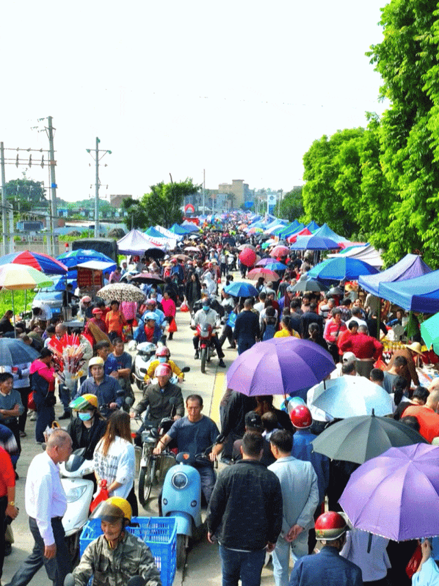 阳春市关键词seo排名优化