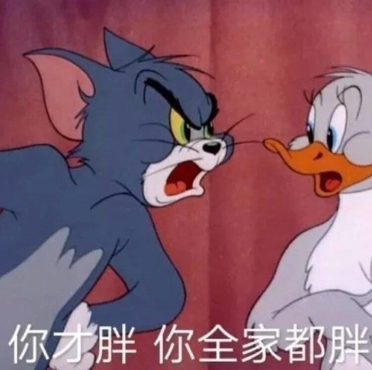 今日份可爱表情包合集,晚上好
