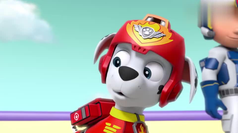 汪汪队路玛赶快把灰灰从水里面拉上来海水太冷了