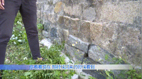 投诉违建还在协商中,男子却发现信访回复里,他莫名“被和解”休闲区蓝鸢梦想 - Www.slyday.coM 投诉违建还在协商中,男子却发现信访回复里,他莫名“被和解”休闲区蓝鸢梦想 - Www.slyday.coM