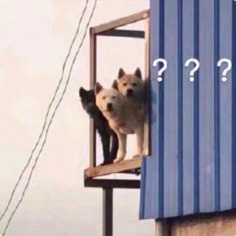今日份可爱表情包合集,晚上好