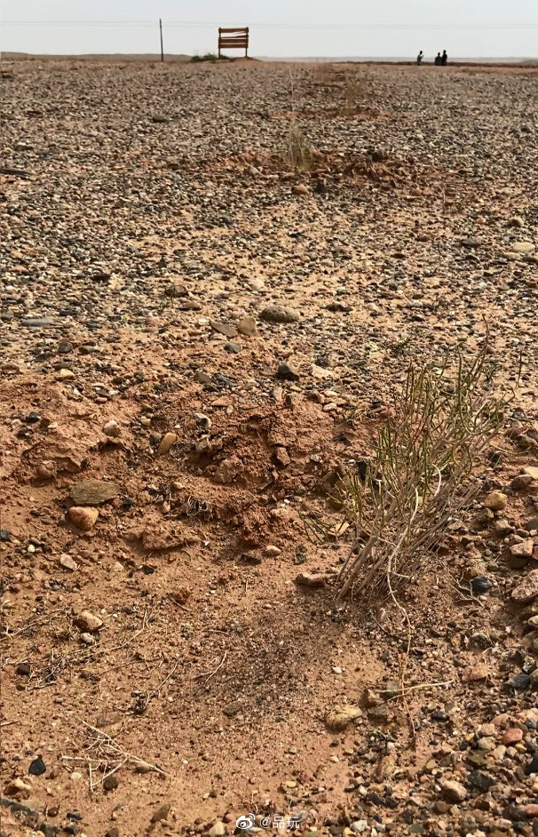 近日有网友反映，位于内蒙古阿拉善左旗的蚂蚁森林277号林疑似未种植休闲区蓝鸢梦想 - Www.slyday.coM