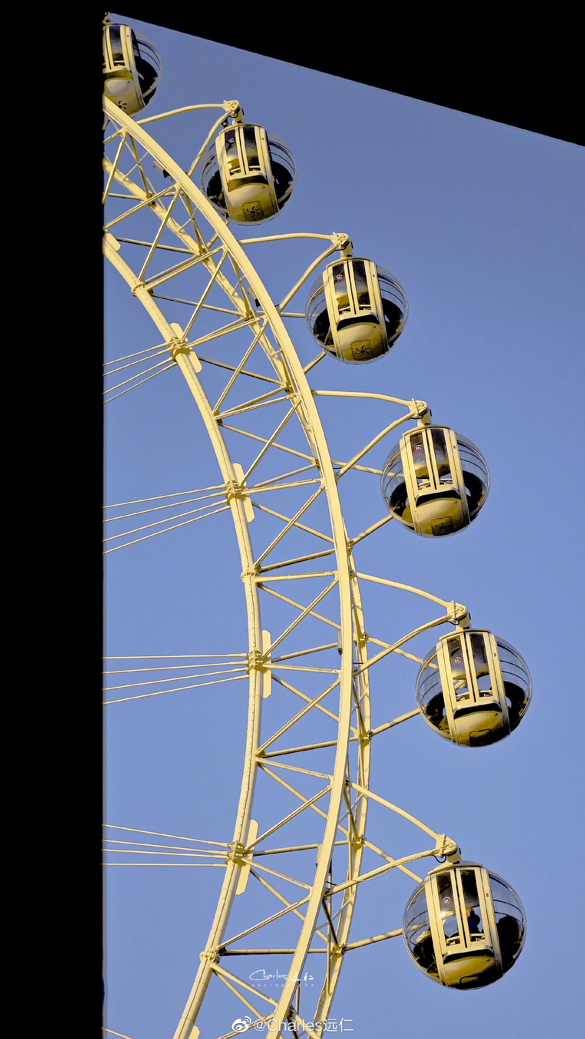 如何用摩天轮社区论坛省70%时间获取精准答案?揭秘全流程避坑指南