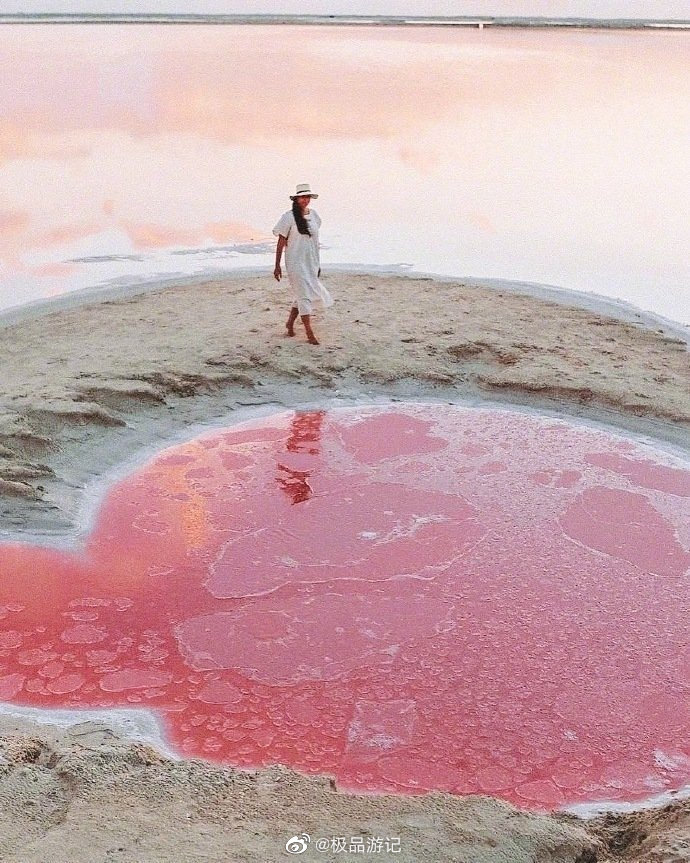 墨西哥的粉色海洋_高清图集_新浪网