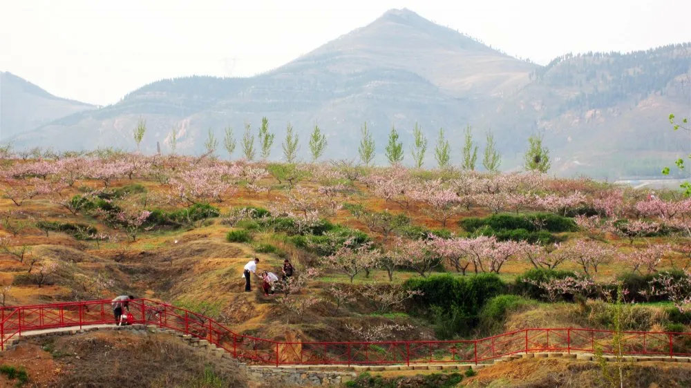 乡村风光打卡山东泗水县泗张镇带你走近世外桃源