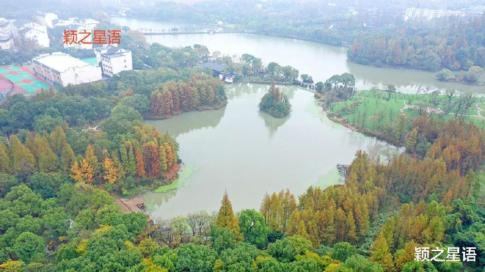 目击者讲述：慈溪哪些地方有小巷子，2025年慈溪小巷分布与特色深度解读