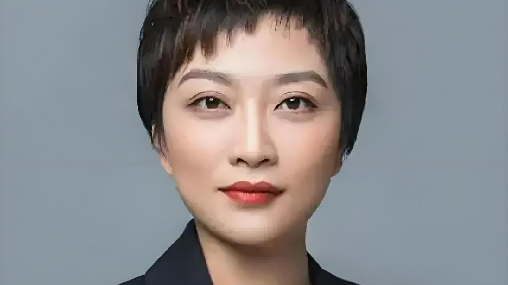 百度副总裁璩静离职事件深度解析|离职|言论|百度_新浪新闻