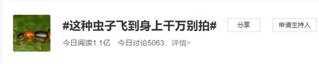 这种虫子爱在夏季“攻击”你,千万别直接拍死休闲区蓝鸢梦想 - Www.slyday.coM 这种虫子爱在夏季“攻击”你,千万别直接拍死休闲区蓝鸢梦想 - Www.slyday.coM