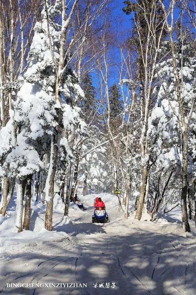 这里是中国冬天最美的公路,令人震撼的林海雪原童话王国!
