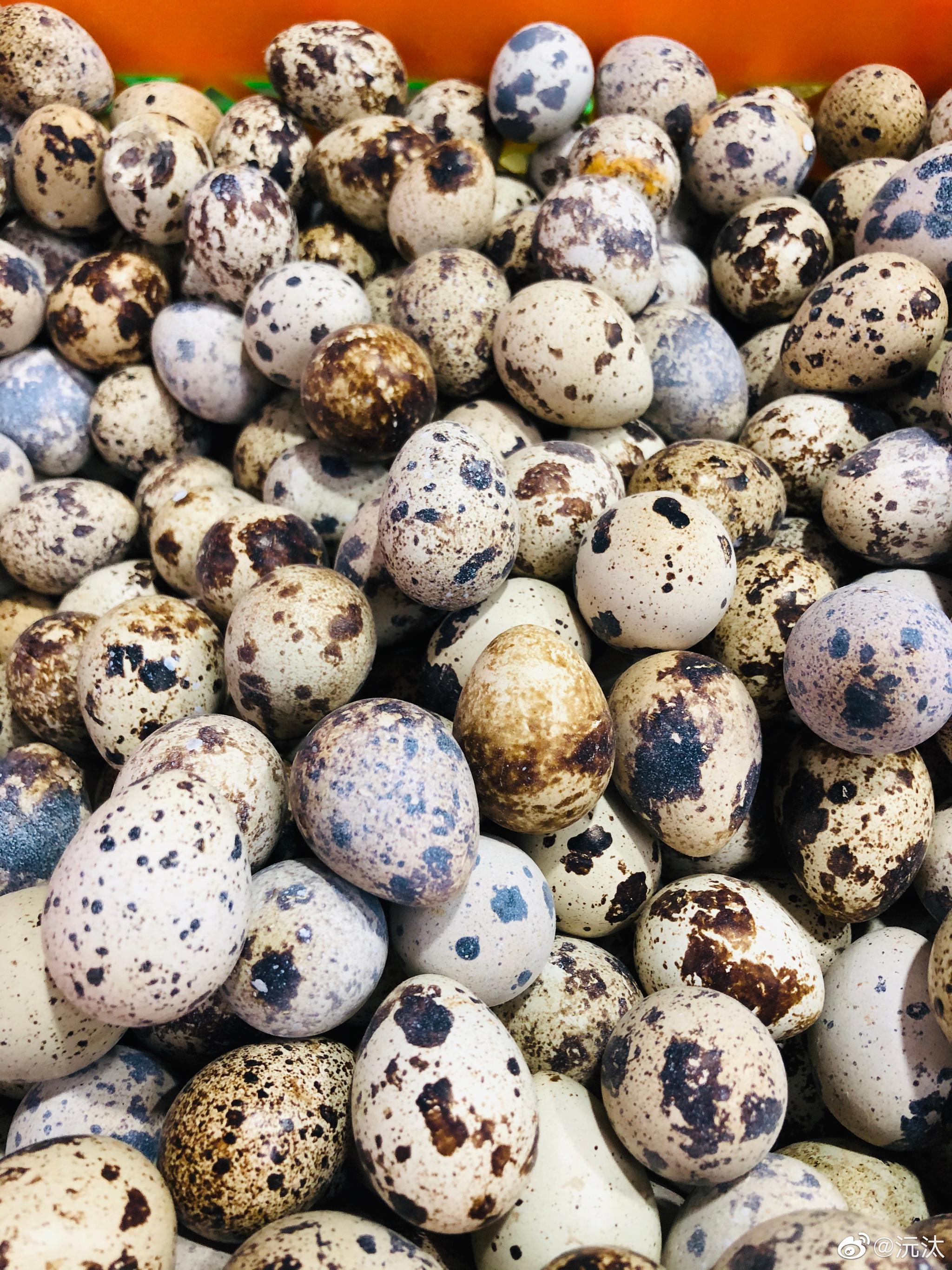 菜市场的各种蛋_高清图集_新浪网