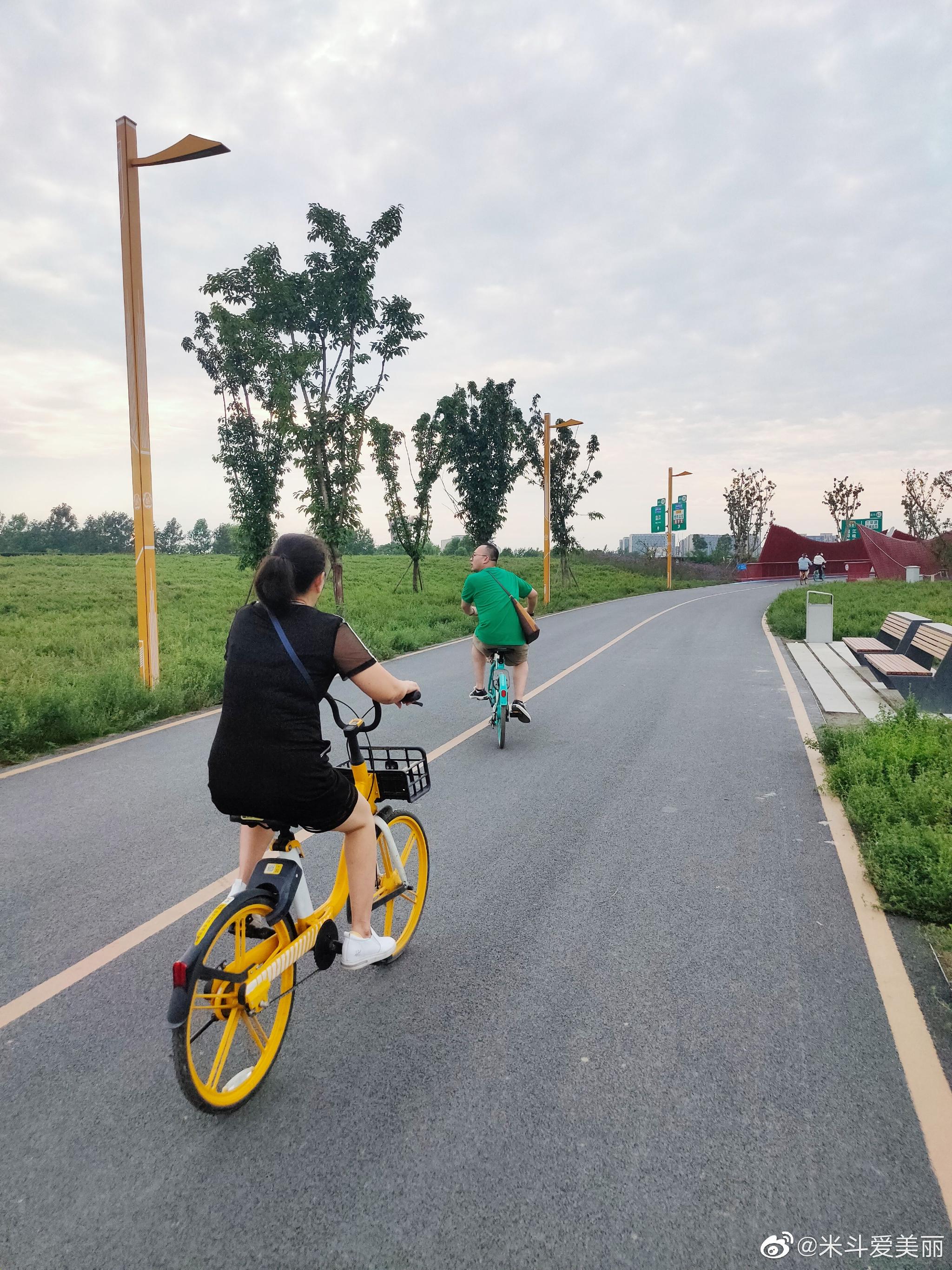 成都最近流行绿道骑行,一圈下来有上百公里……__财经头条